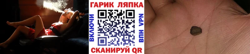 ГАШ Изолятор  Купить  Камень-на-Оби 