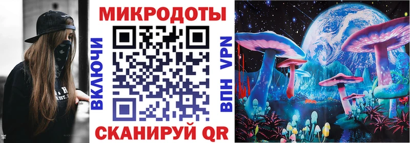 Купить закладки Камень-на-Оби Галлюциногенные грибы ЛСД